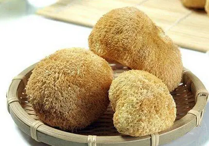 猴头菇整体/切割/粉末/提取物