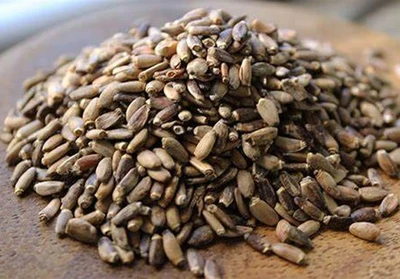 选择优质牛奶蓟粉的终极指南