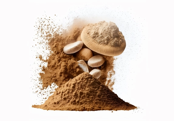 agaricus全切粉提取物1