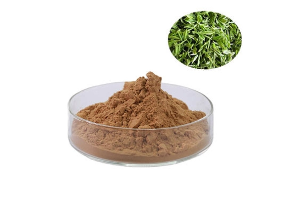 绿茶提取物