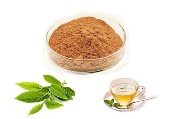 速溶绿茶提取物