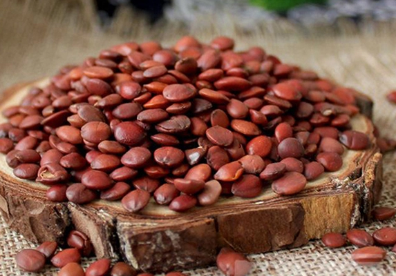 散装脊椎枣种子提取物