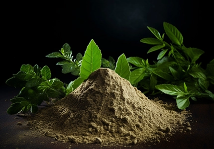 百里香叶提取物