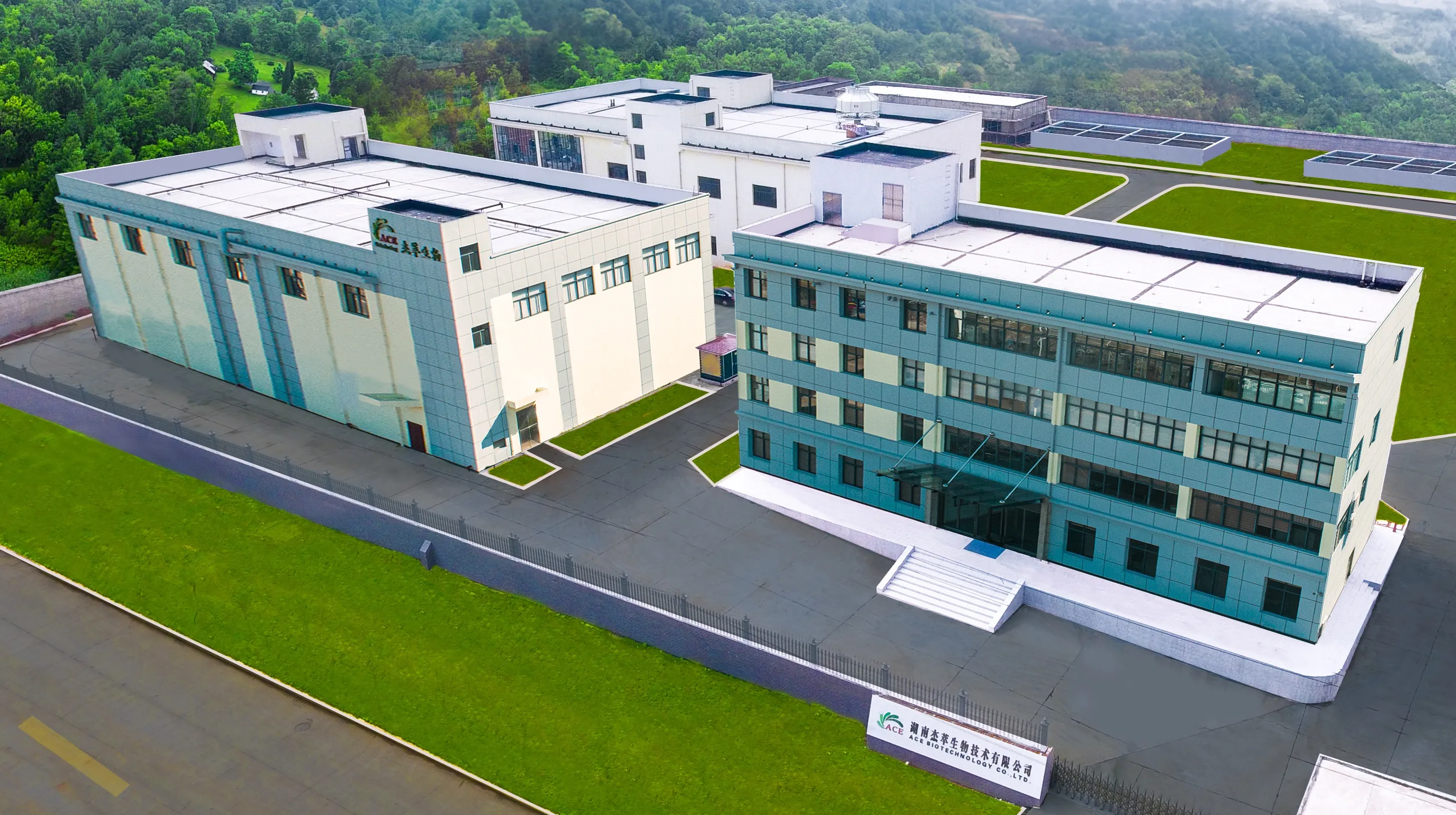 植物提取物公司