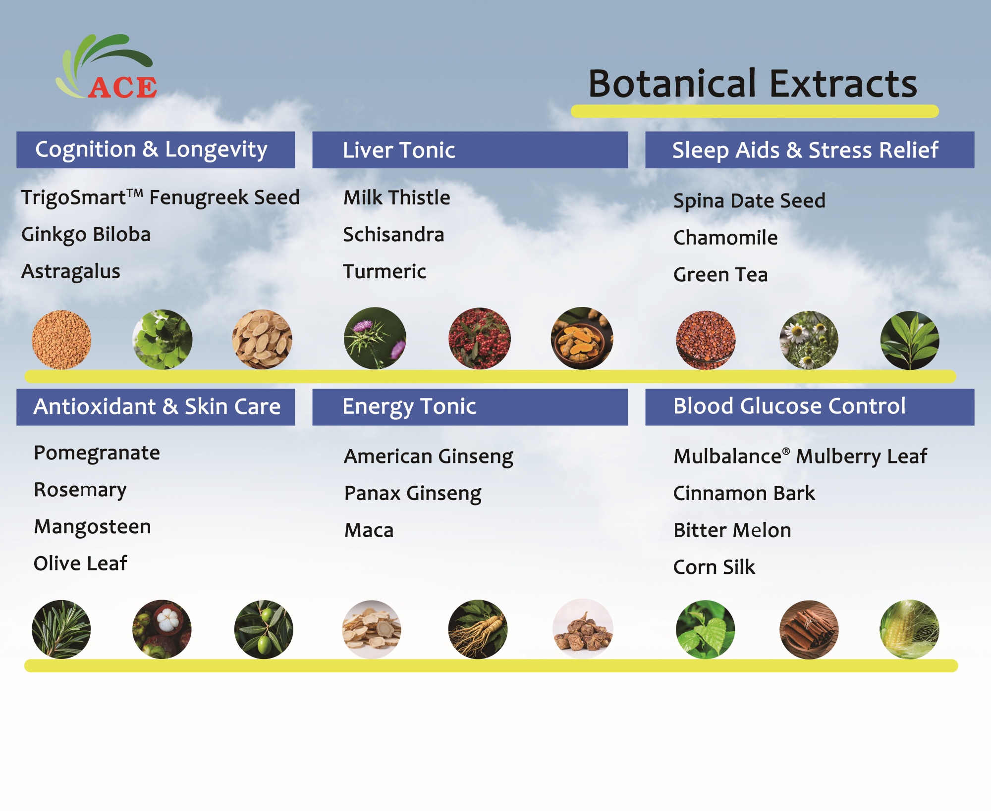 vitafoods-europe-2026-jiecui-biotech-botanical-extracts.jpg