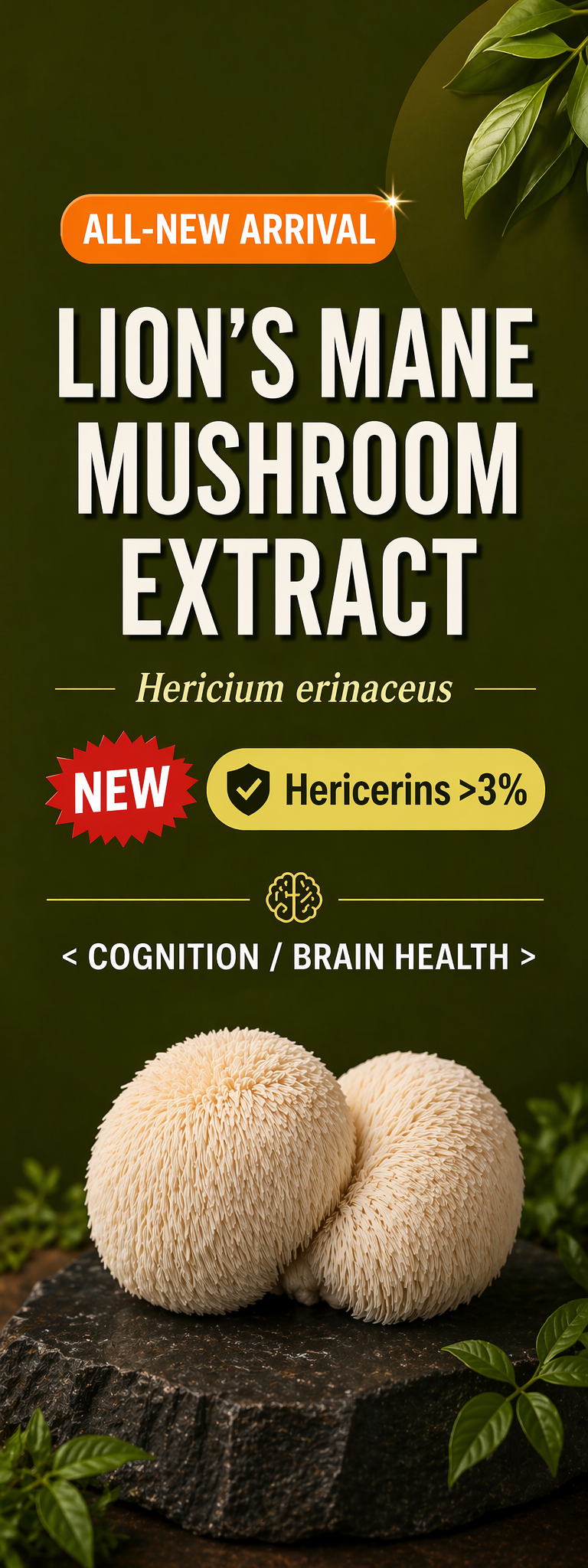 vitafoods-europe-2026-jiecui-biotech-mushroom-extract.png