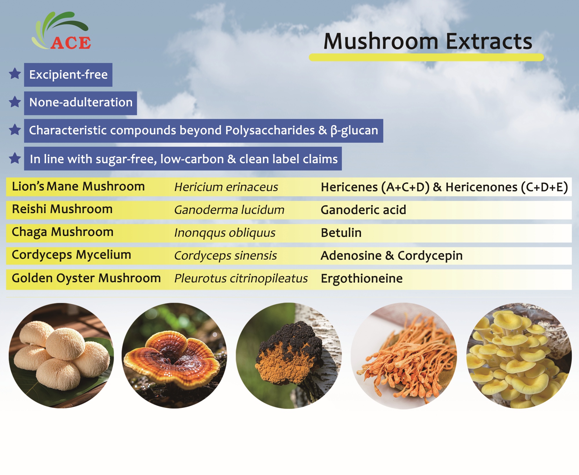 vitafoods-europe-2026-jiecui-biotech-mushroom-extracts.jpg